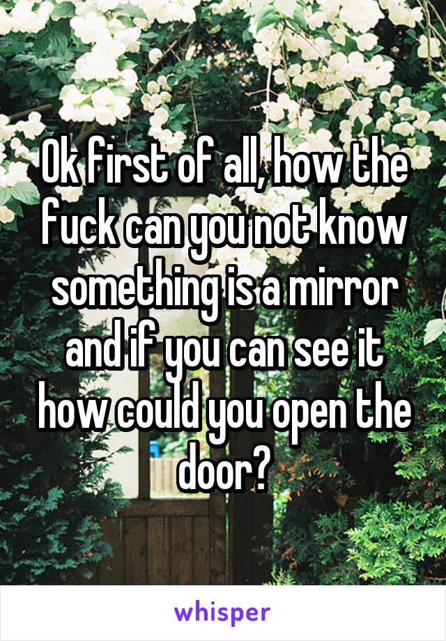 Ok first of all, how the fuck can you not know something is a mirror and if you can see it how could you open the door?