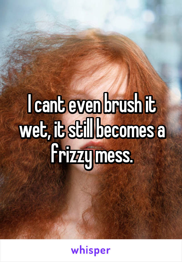 I cant even brush it wet, it still becomes a frizzy mess.