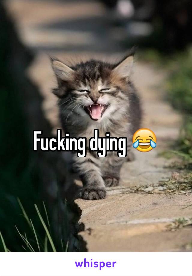 Fucking dying 😂