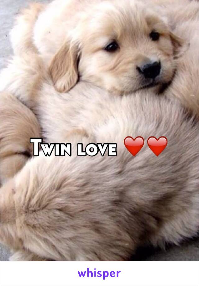 Twin love ❤️❤️