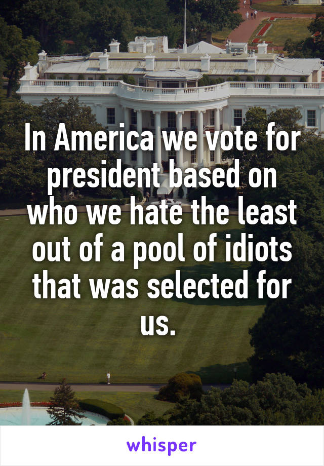 In America we vote for president based on who we hate the least out of a pool of idiots that was selected for us. 