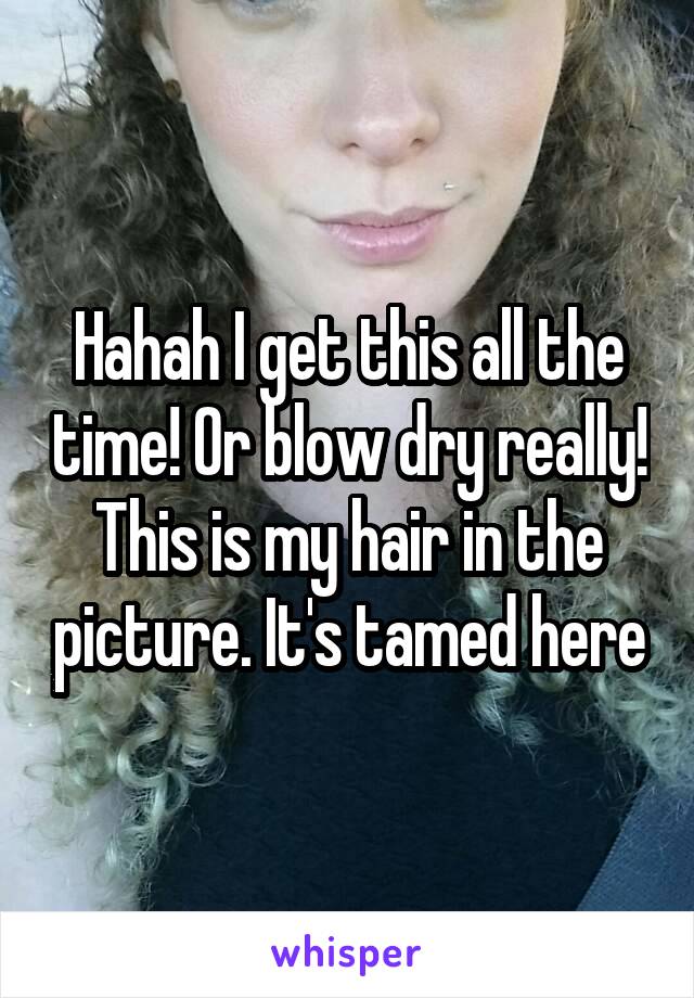 Hahah I get this all the time! Or blow dry really!
This is my hair in the picture. It's tamed here