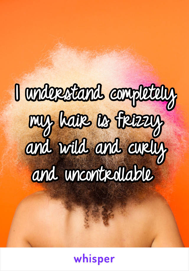 I understand completely my hair is frizzy and wild and curly and uncontrollable 