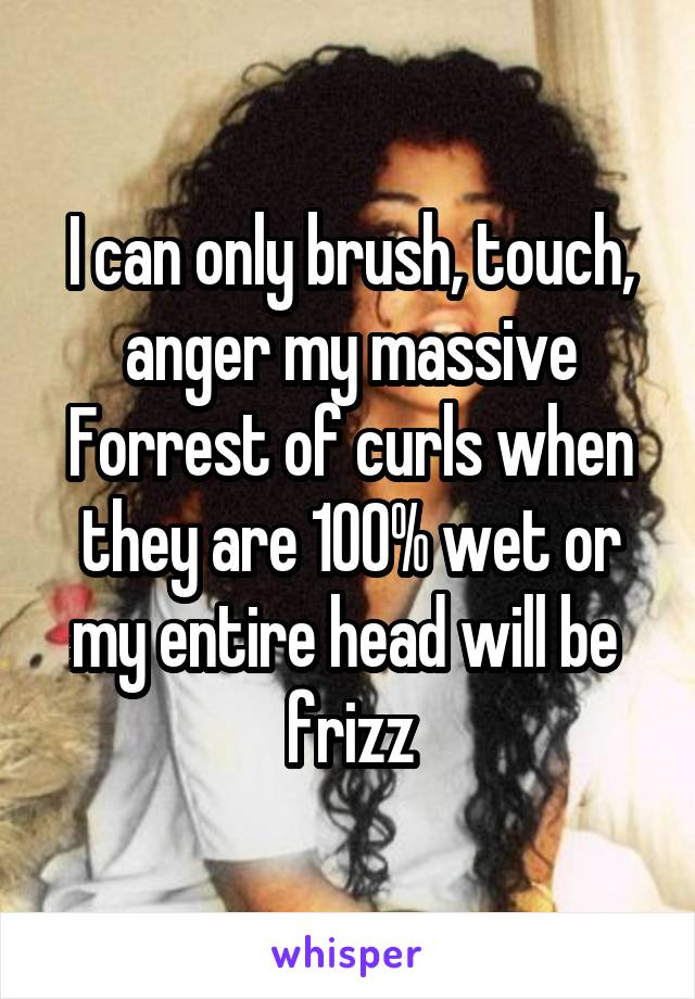 I can only brush, touch, anger my massive Forrest of curls when they are 100% wet or my entire head will be  frizz