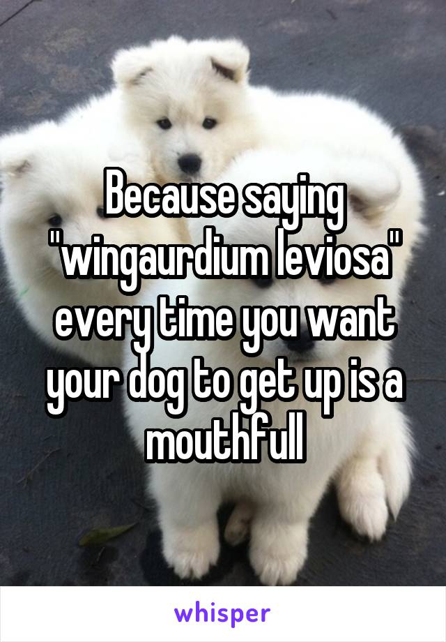 Because saying "wingaurdium leviosa" every time you want your dog to get up is a mouthfull
