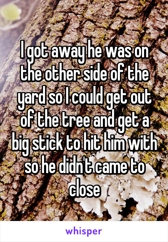 I got away he was on the other side of the yard so I could get out of the tree and get a big stick to hit him with so he didn't came to close