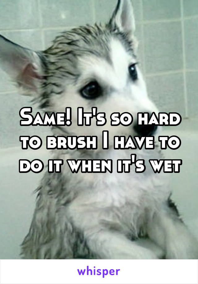 Same! It's so hard to brush I have to do it when it's wet