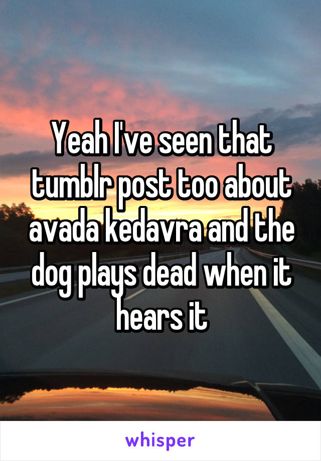 Yeah I've seen that tumblr post too about avada kedavra and the dog plays dead when it hears it