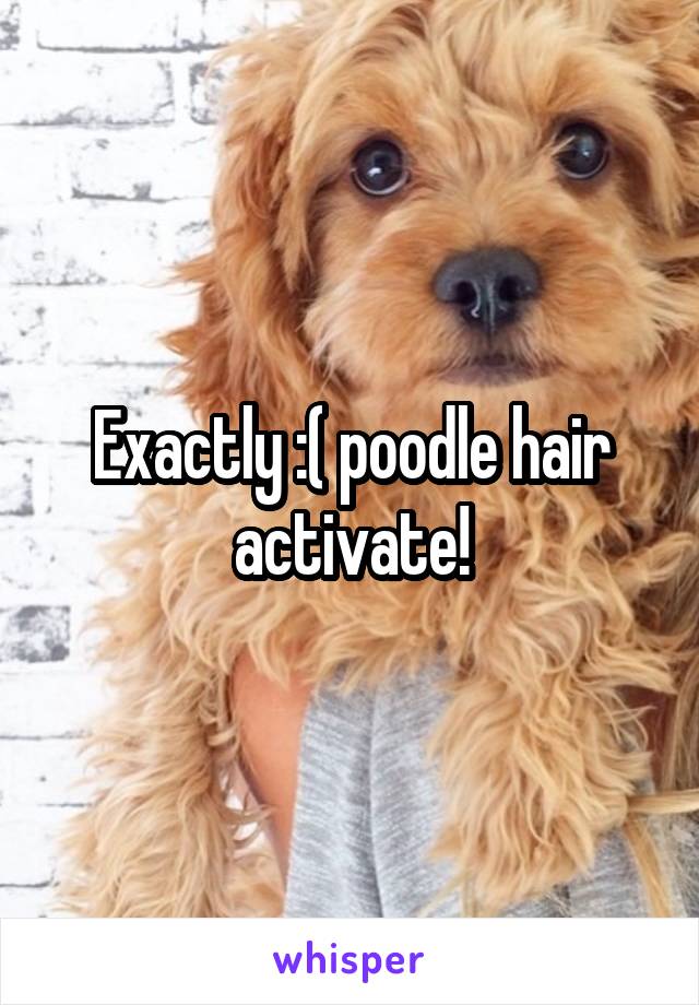 Exactly :( poodle hair activate!