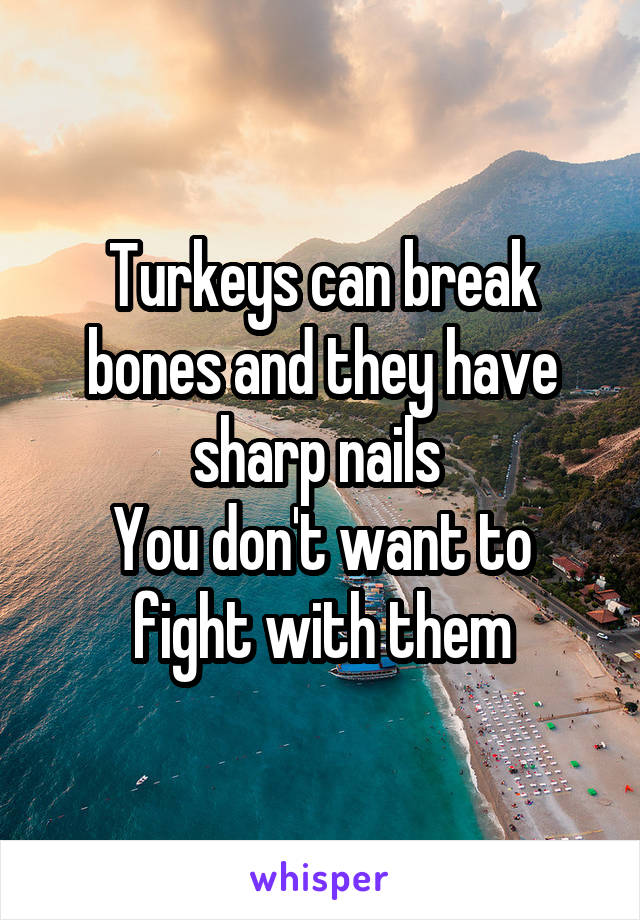 Turkeys can break bones and they have sharp nails 
You don't want to fight with them