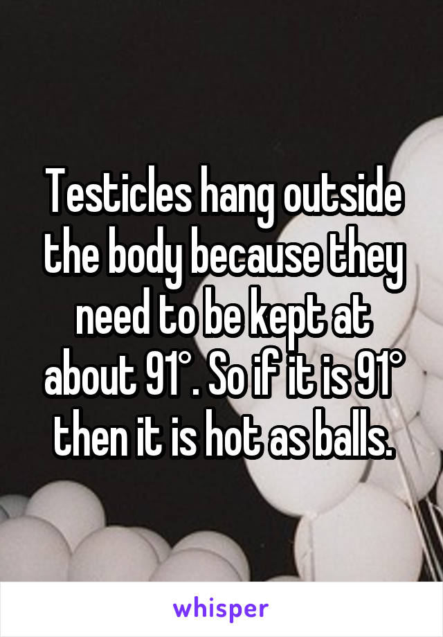 Testicles hang outside the body because they need to be kept at about 91°. So if it is 91° then it is hot as balls.
