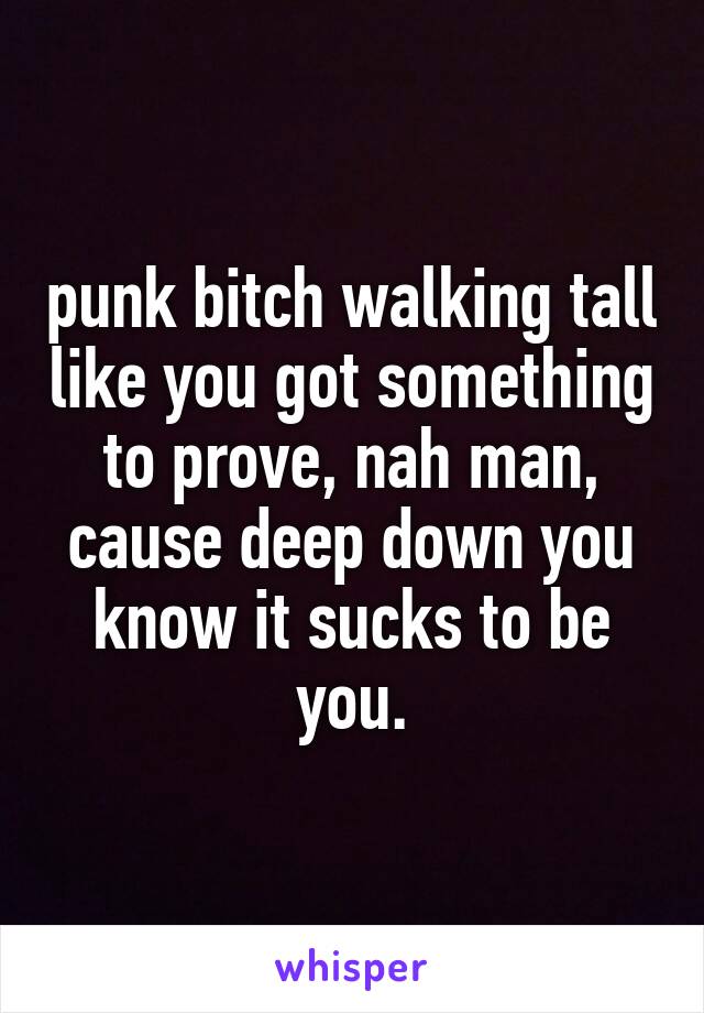 punk bitch walking tall like you got something to prove, nah man, cause deep down you know it sucks to be you.