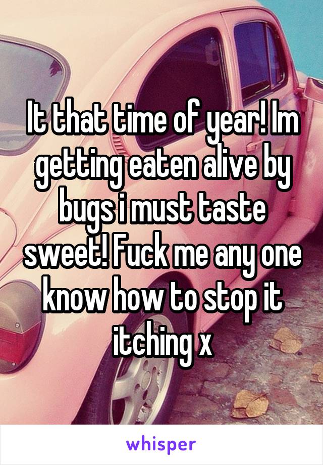 It that time of year! Im getting eaten alive by bugs i must taste sweet! Fuck me any one know how to stop it itching x