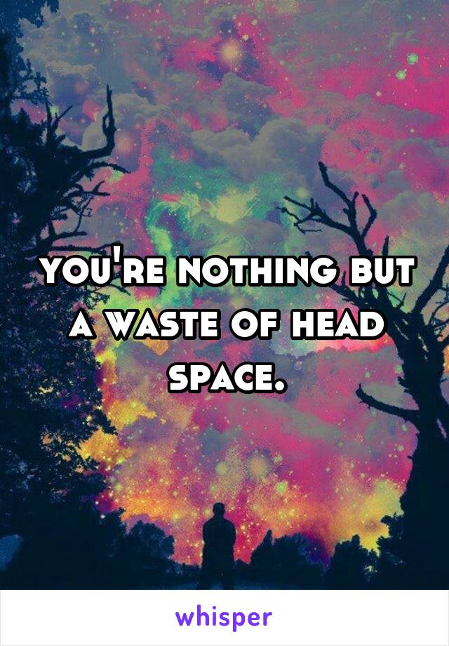 you're nothing but a waste of head space.