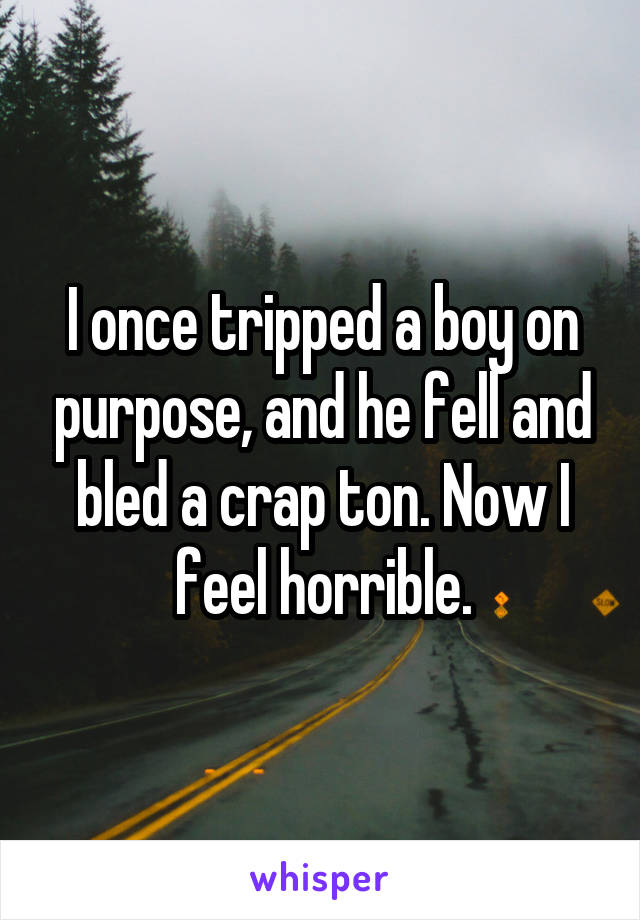 I once tripped a boy on purpose, and he fell and bled a crap ton. Now I feel horrible.