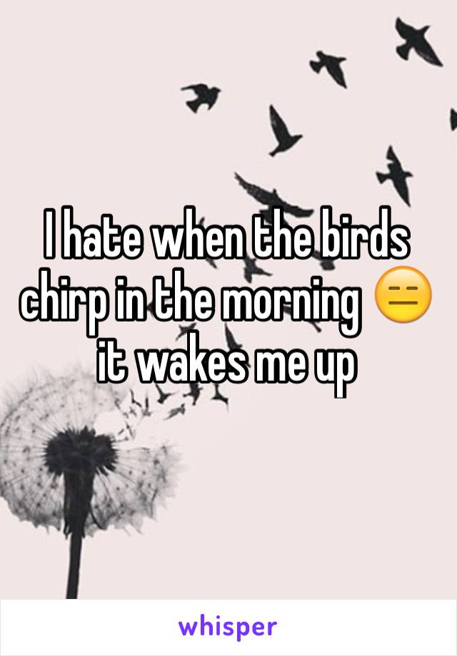 I hate when the birds chirp in the morning 😑 it wakes me up