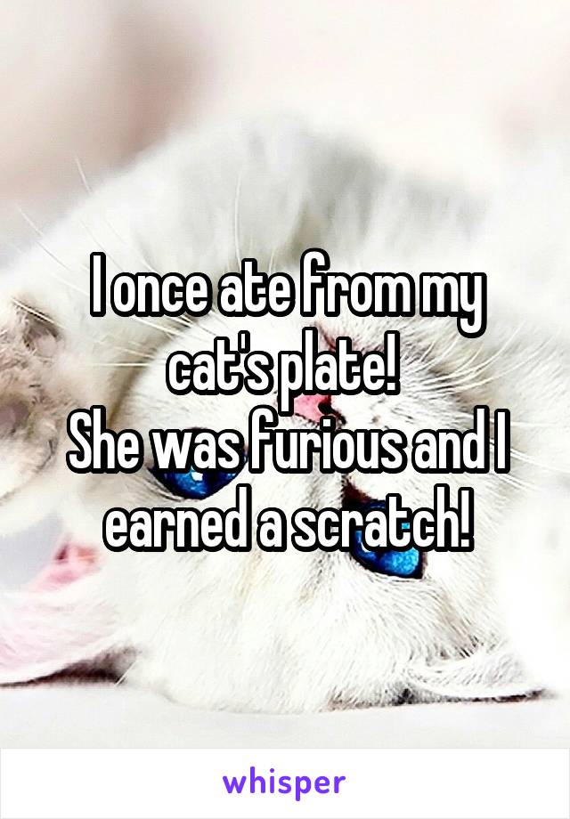 I once ate from my cat's plate! 
She was furious and I earned a scratch!