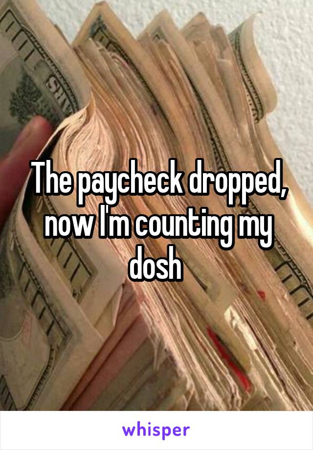 The paycheck dropped, now I'm counting my dosh 