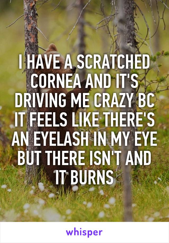 I HAVE A SCRATCHED CORNEA AND IT'S DRIVING ME CRAZY BC IT FEELS LIKE THERE'S AN EYELASH IN MY EYE BUT THERE ISN'T AND IT BURNS