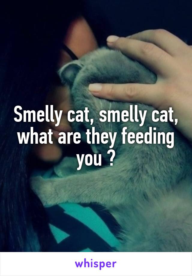 Smelly cat, smelly cat, what are they feeding you ?