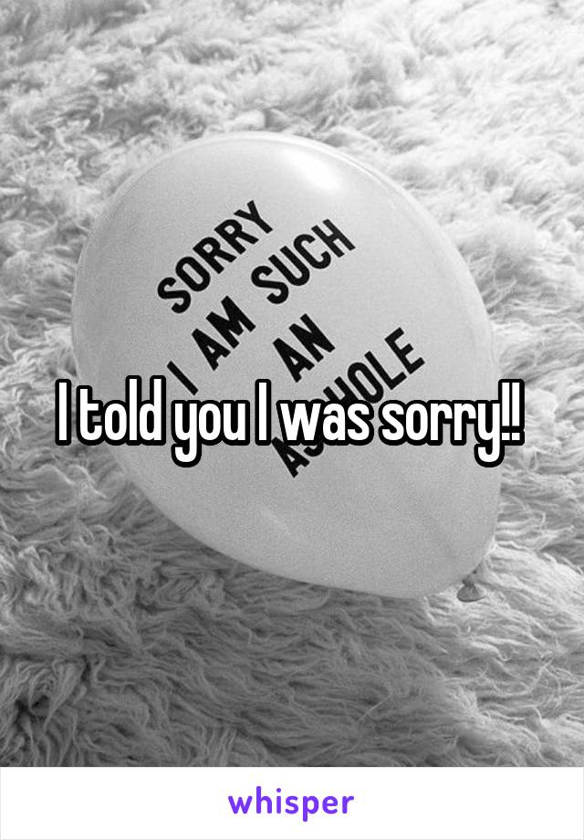I told you I was sorry!! 