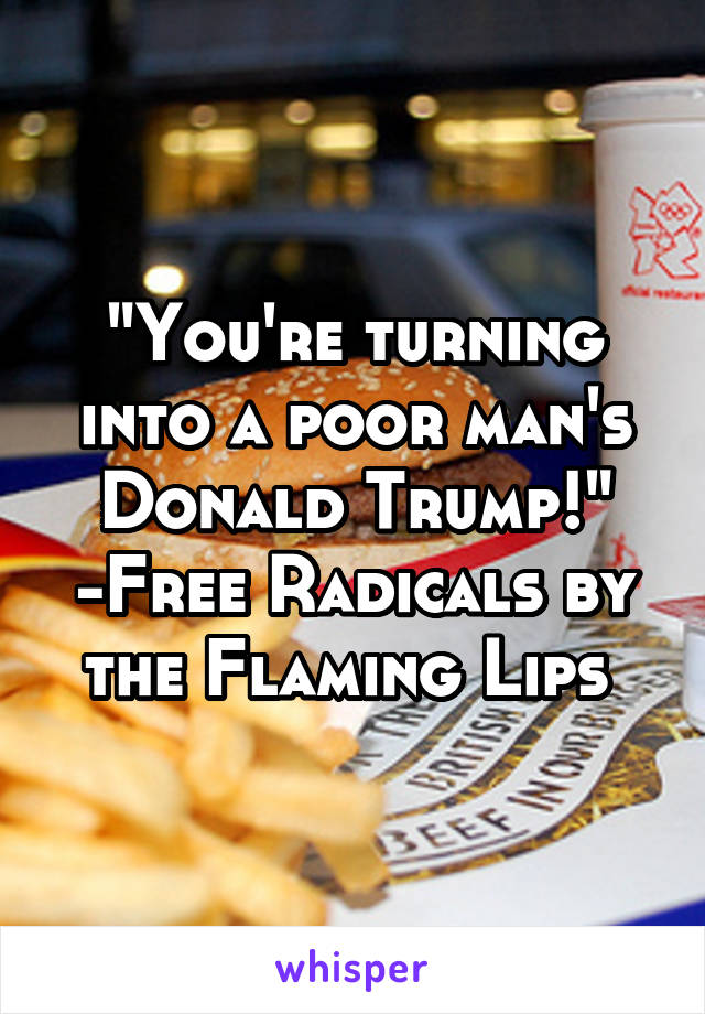 "You're turning into a poor man's Donald Trump!"
-Free Radicals by the Flaming Lips 