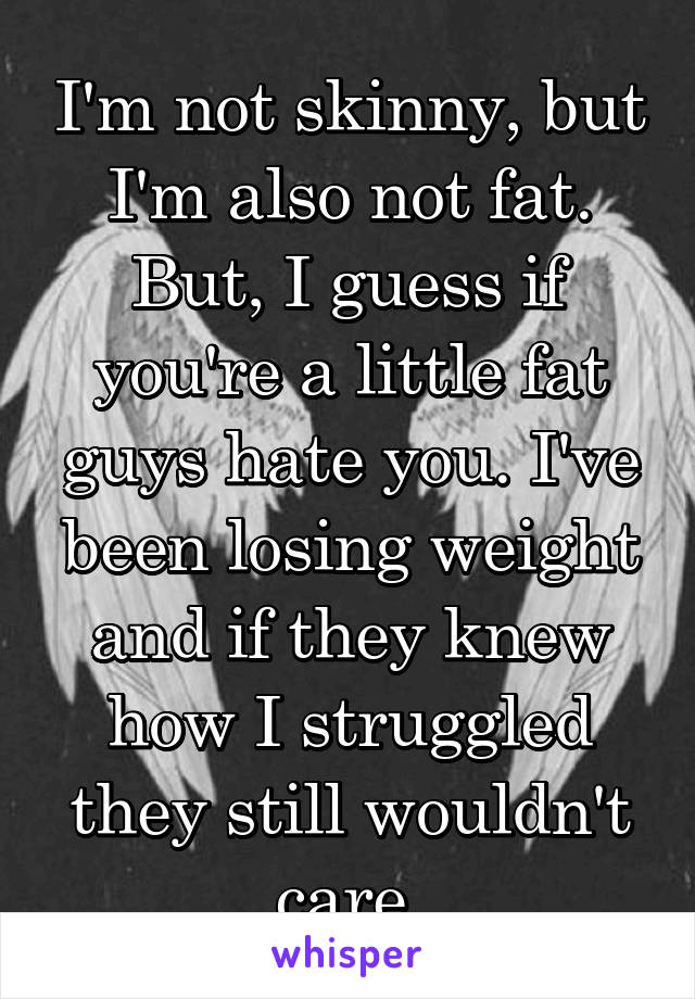 I'm not skinny, but I'm also not fat. But, I guess if you're a little fat guys hate you. I've been losing weight and if they knew how I struggled they still wouldn't care.