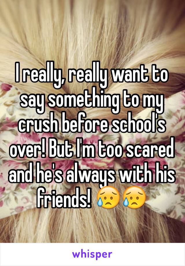 I really, really want to say something to my crush before school's over! But I'm too scared and he's always with his friends! 😥😥