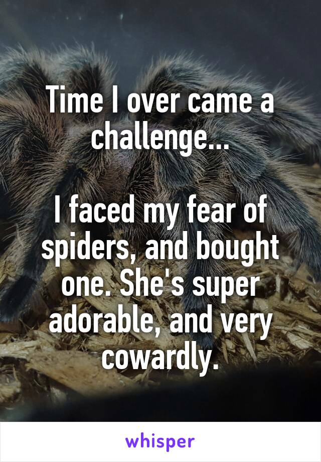 Time I over came a challenge...

I faced my fear of spiders, and bought one. She's super adorable, and very cowardly.