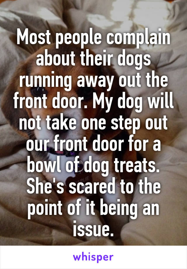 Most people complain about their dogs running away out the front door. My dog will not take one step out our front door for a bowl of dog treats.
She's scared to the point of it being an issue.