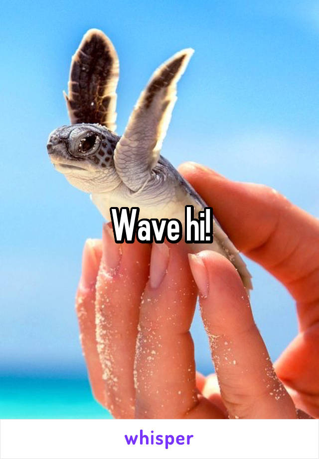Wave hi!