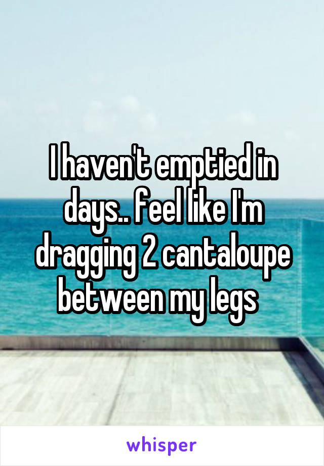 I haven't emptied in days.. feel like I'm dragging 2 cantaloupe between my legs  
