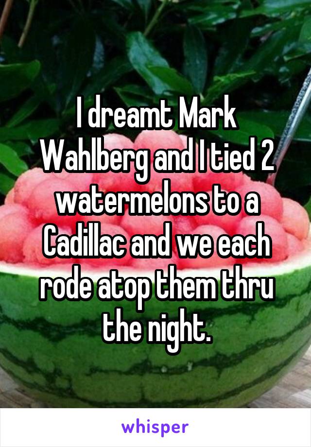 I dreamt Mark Wahlberg and I tied 2 watermelons to a Cadillac and we each rode atop them thru the night.