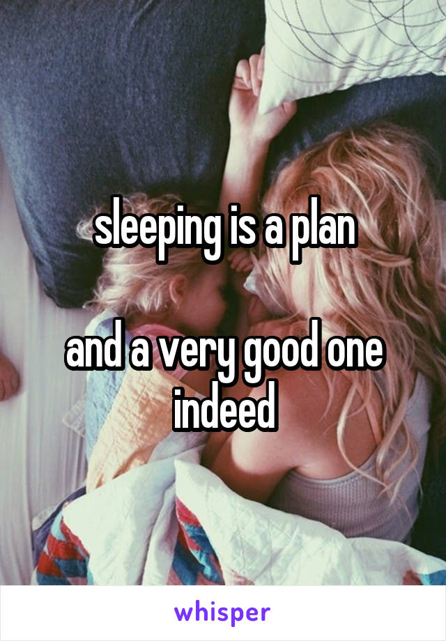 sleeping is a plan

and a very good one indeed