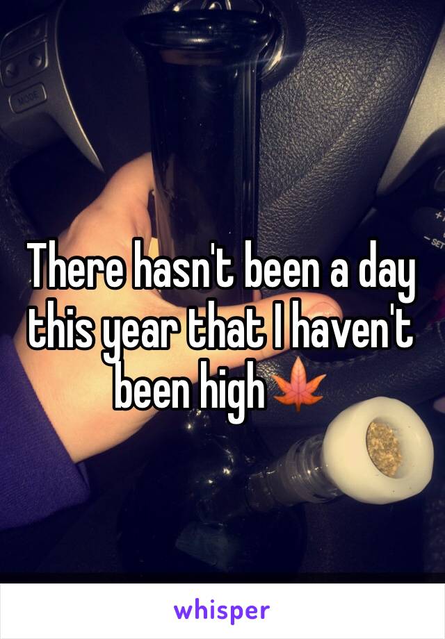 There hasn't been a day this year that I haven't been high🍁