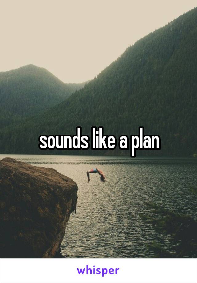sounds like a plan