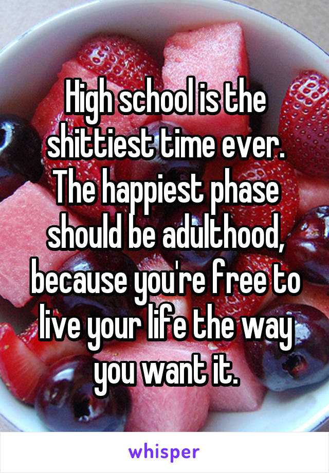High school is the shittiest time ever. The happiest phase should be adulthood, because you're free to live your life the way you want it.