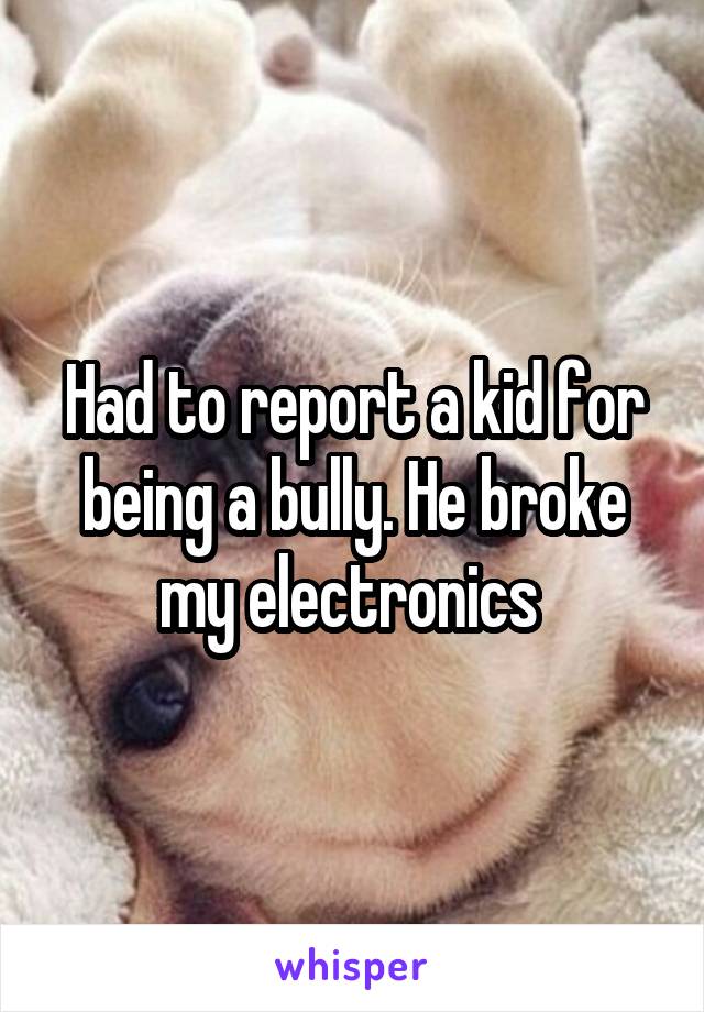 Had to report a kid for being a bully. He broke my electronics 