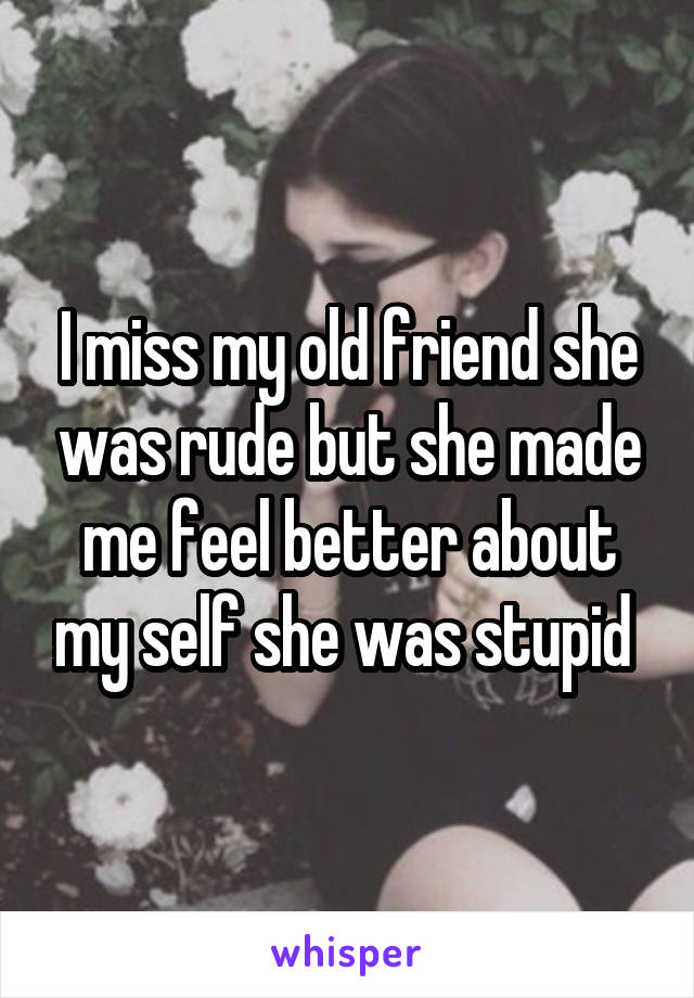 I miss my old friend she was rude but she made me feel better about my self she was stupid 