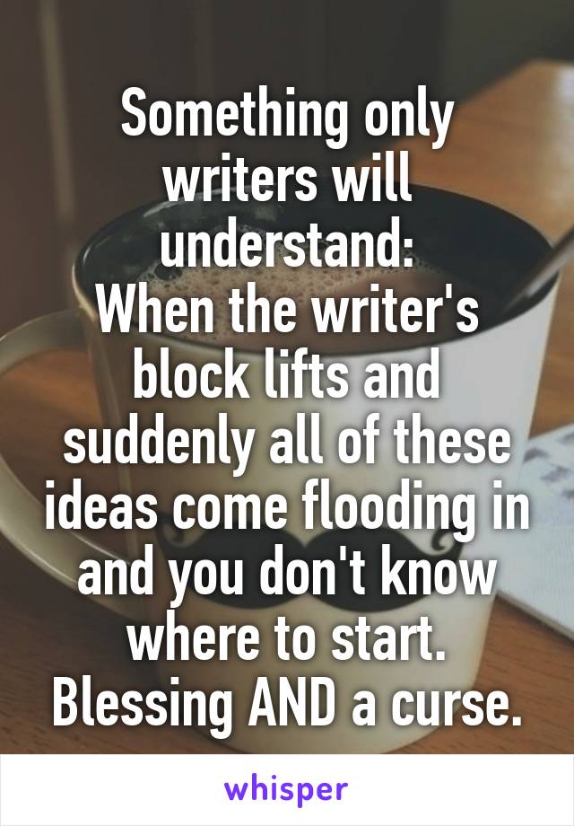 Something only writers will understand:
When the writer's block lifts and suddenly all of these ideas come flooding in and you don't know where to start.
Blessing AND a curse.