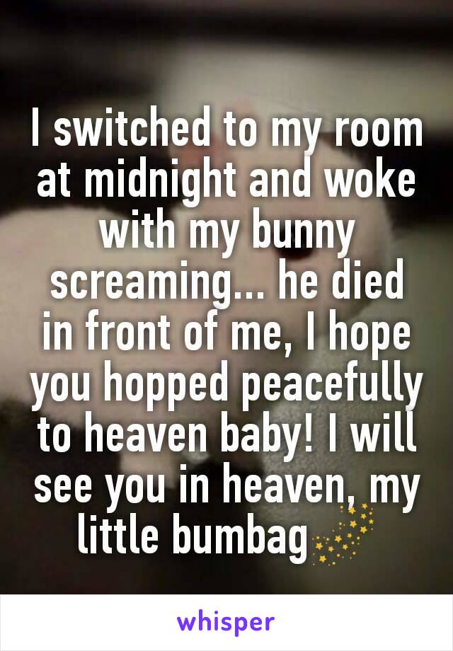 I switched to my room at midnight and woke with my bunny screaming... he died in front of me, I hope you hopped peacefully to heaven baby! I will see you in heaven, my little bumbag🌌