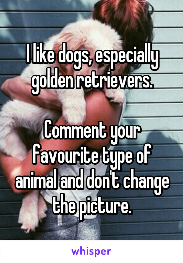 I like dogs, especially golden retrievers.

Comment your favourite type of animal and don't change the picture.