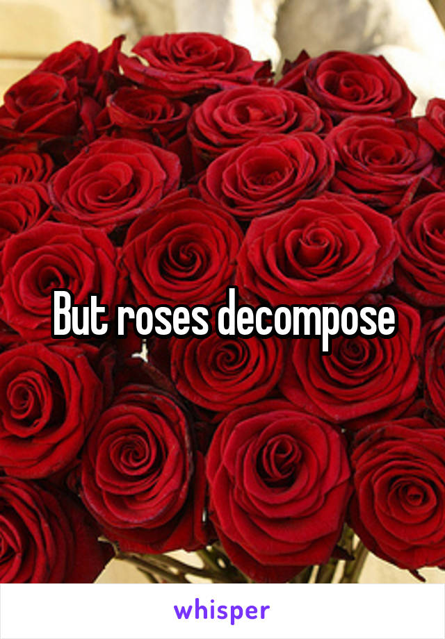 But roses decompose