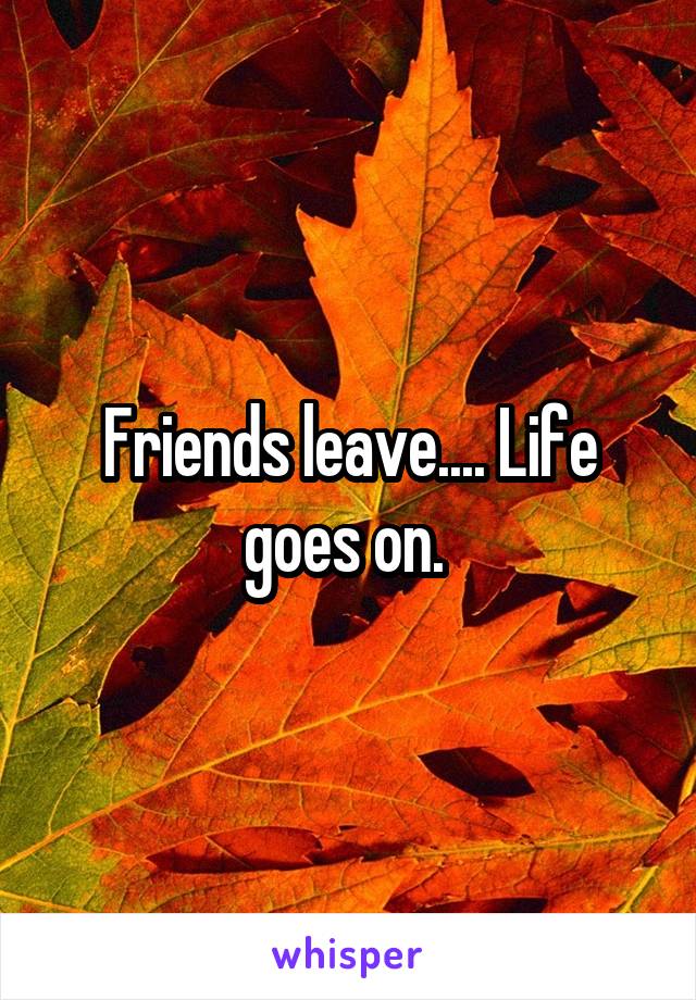 Friends leave.... Life goes on. 
