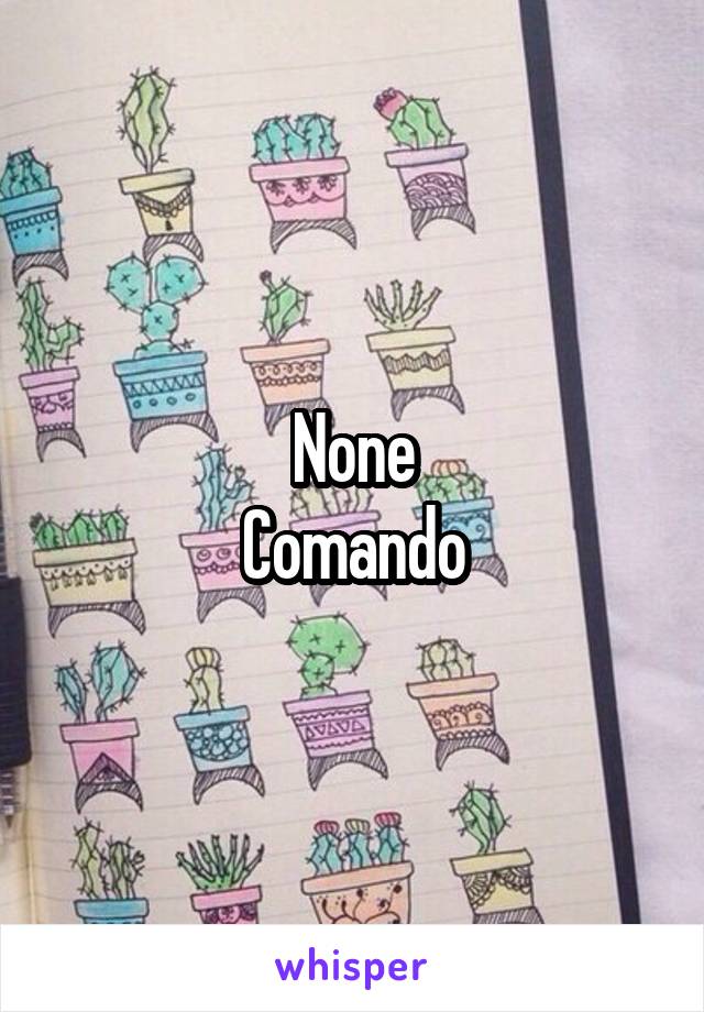None
Comando