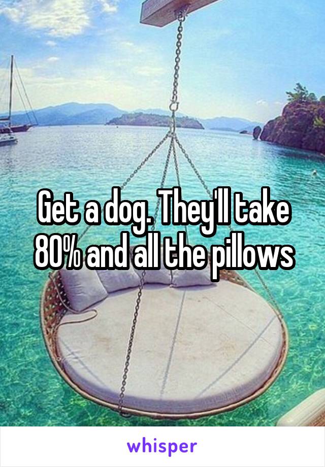 Get a dog. They'll take 80% and all the pillows