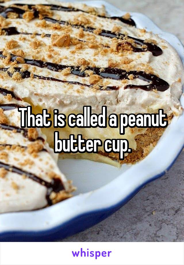 That is called a peanut butter cup.