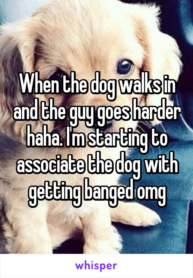 When the dog walks in and the guy goes harder haha. I'm starting to associate the dog with getting banged omg