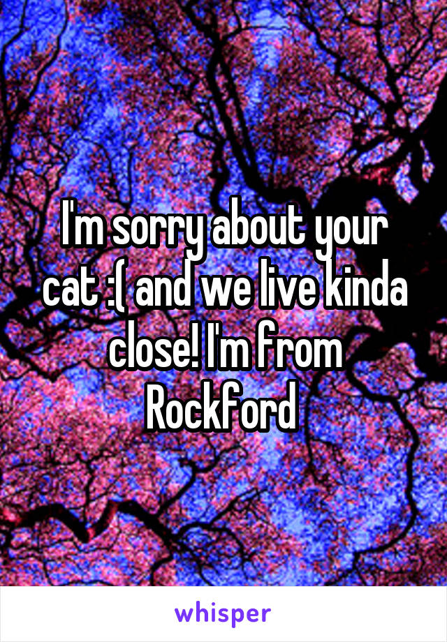 I'm sorry about your cat :( and we live kinda close! I'm from Rockford 