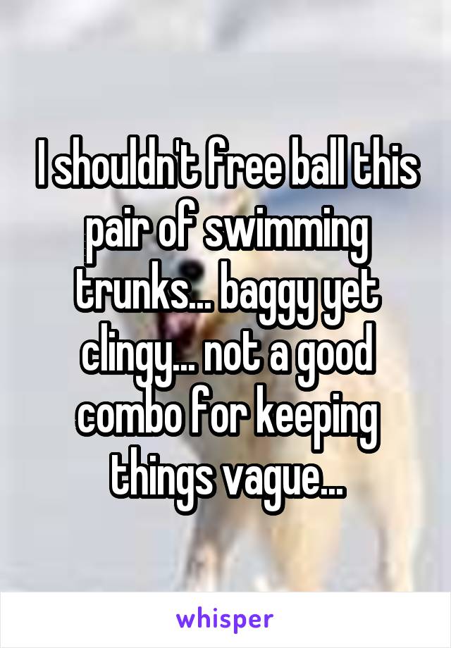 I shouldn't free ball this pair of swimming trunks... baggy yet clingy... not a good combo for keeping things vague...